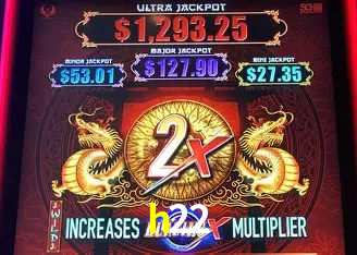 h22 Rio de Janeiro - Professional Dealers